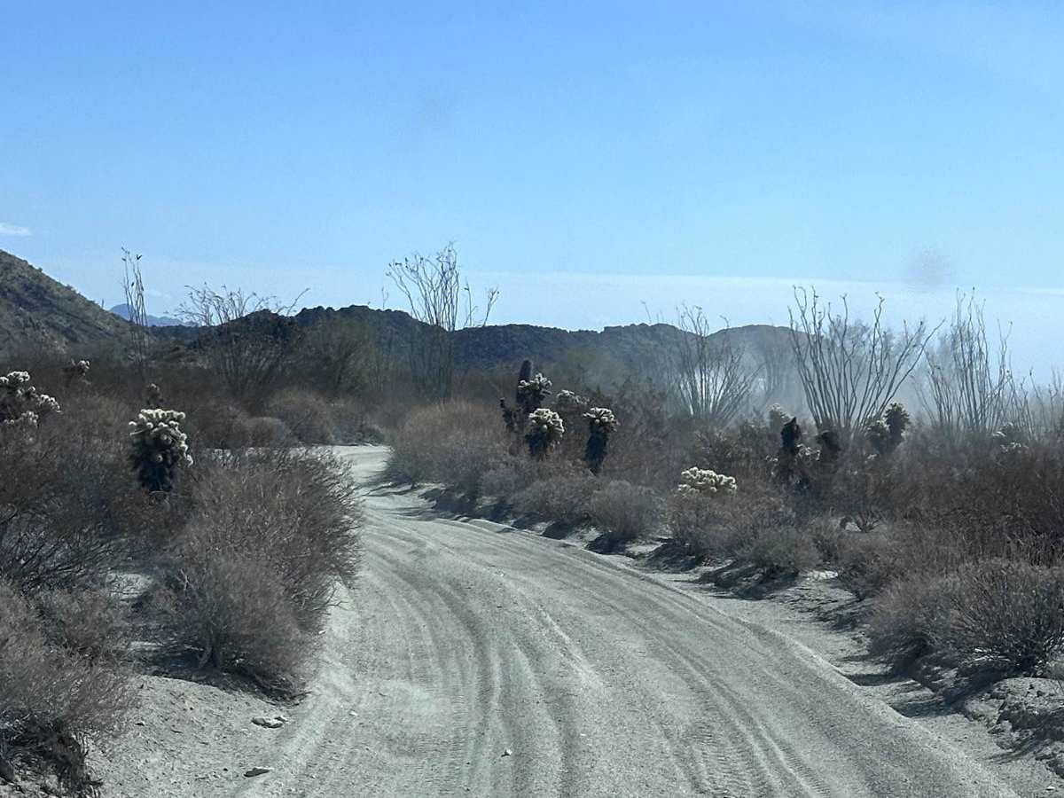 El Camino Del Diablo (Cabeza Prieta) photo 5