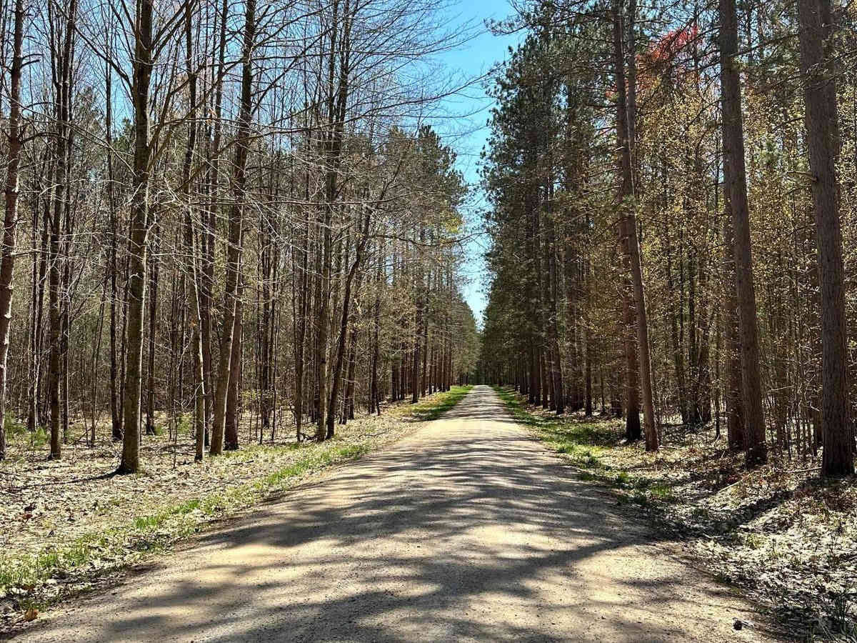 Cadillac Area ORV/OHV Scenic Ride - Part 18 photo 5