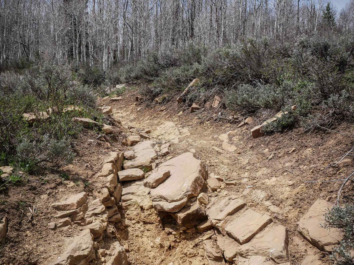 French Hollow #027 trail photo