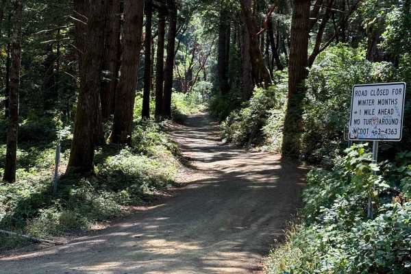 Usal Road (Northern Portion)