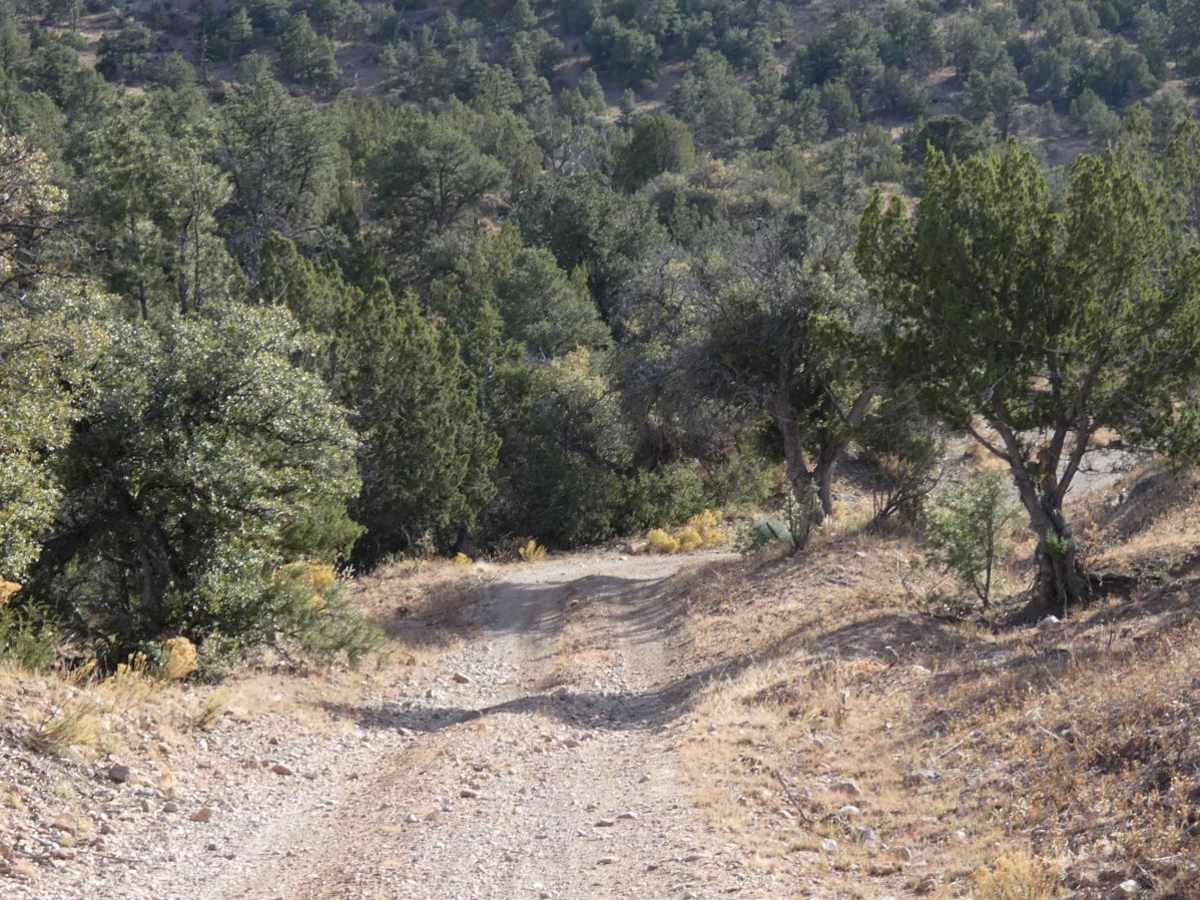 Wildcat Run photo 6
