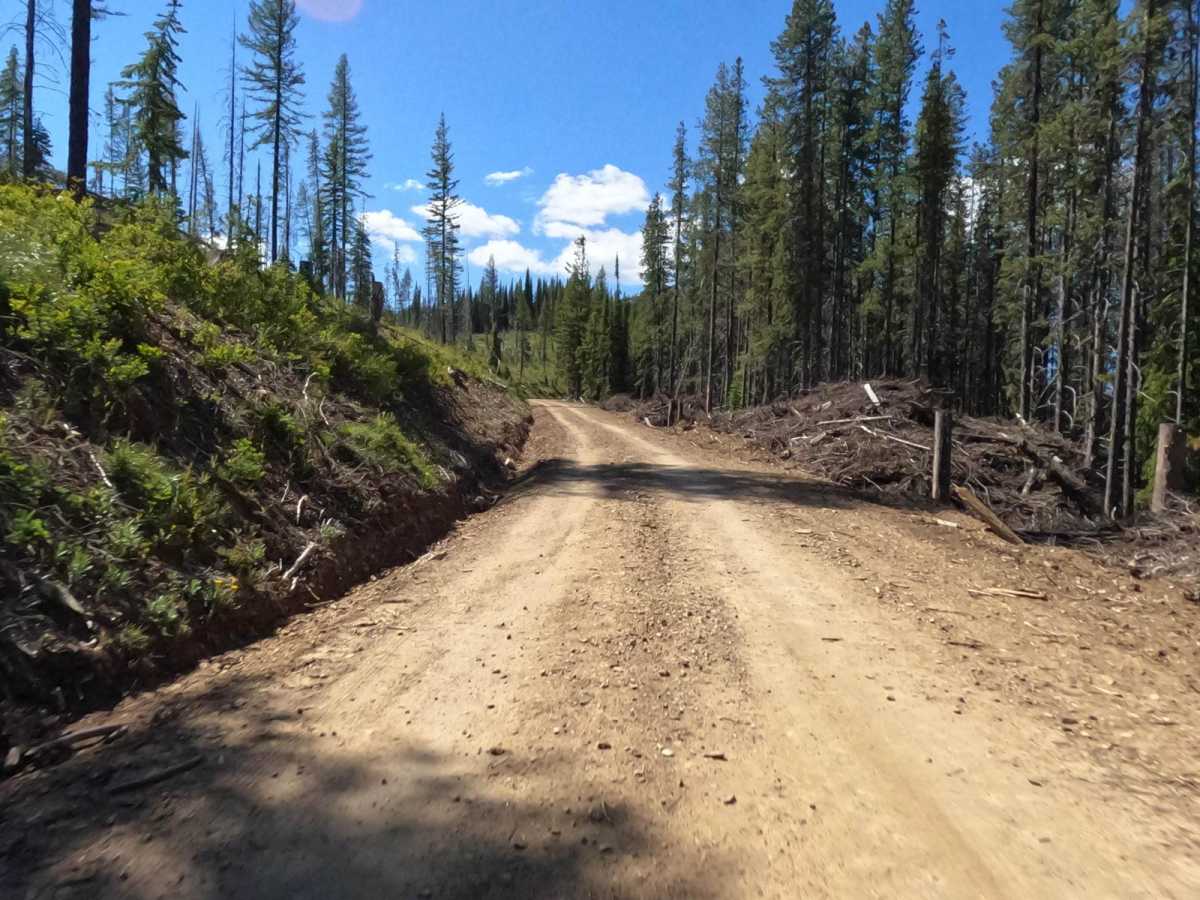 Oregon Lakes Rd-State Line Rd photo 5