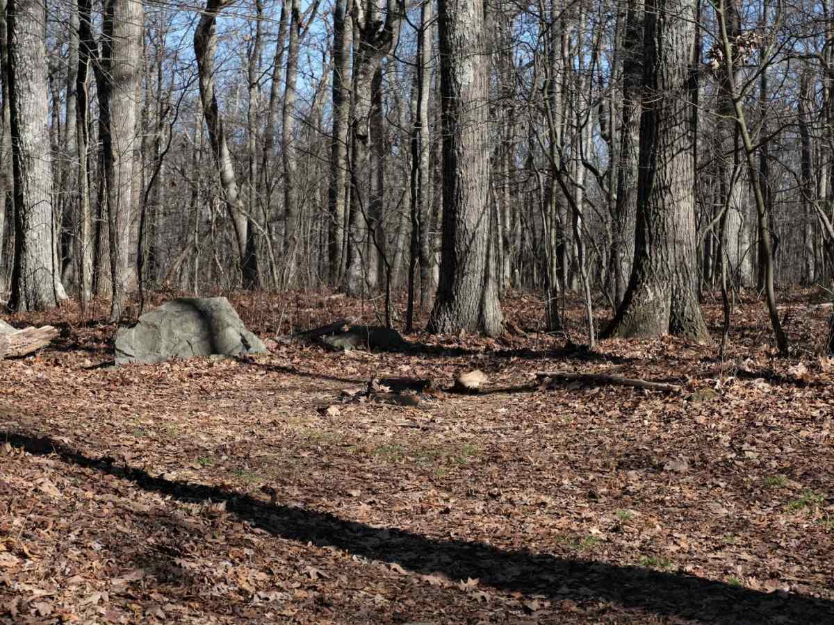 Overstreet Creek photo 6