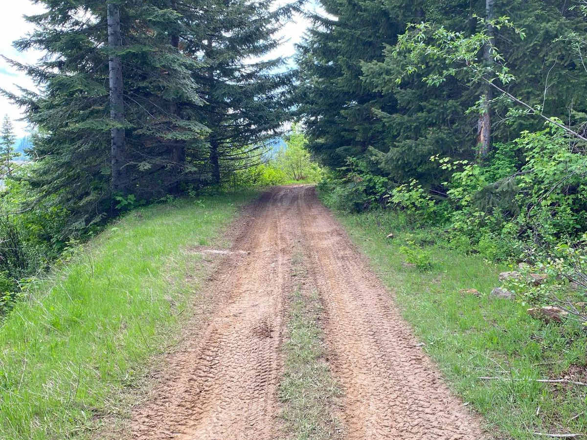 The Bird Road photo 5