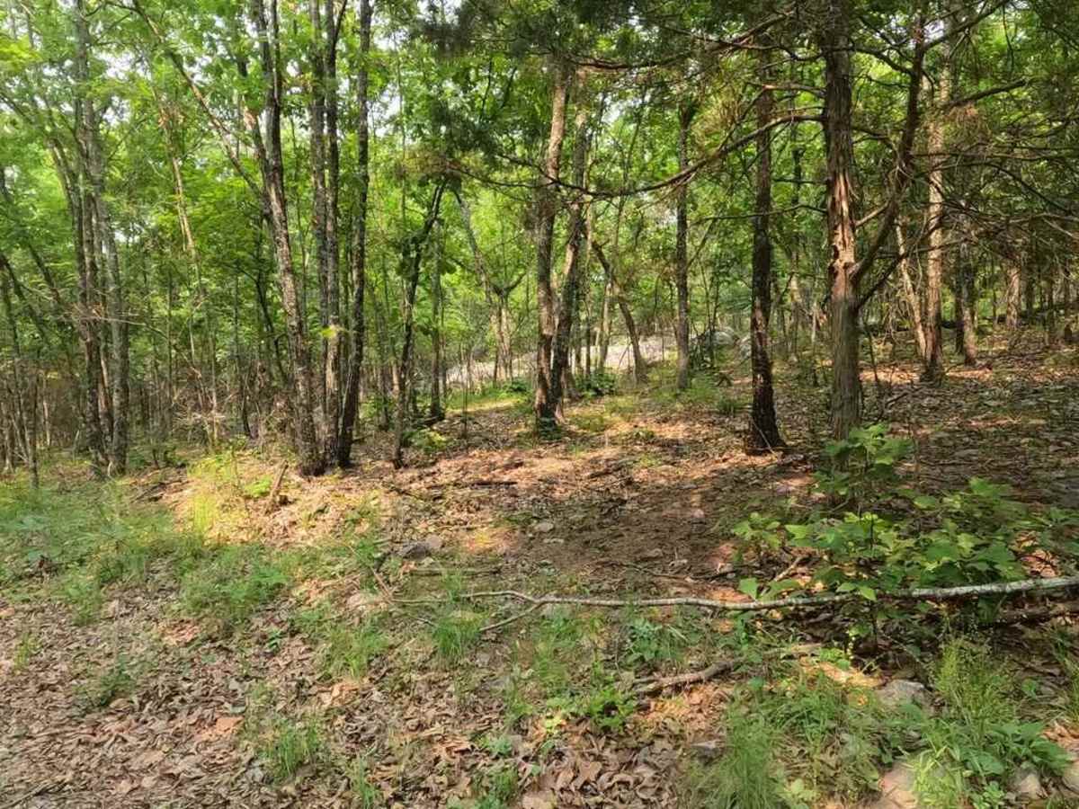 Cedar Bottom FSR 2159 photo 4