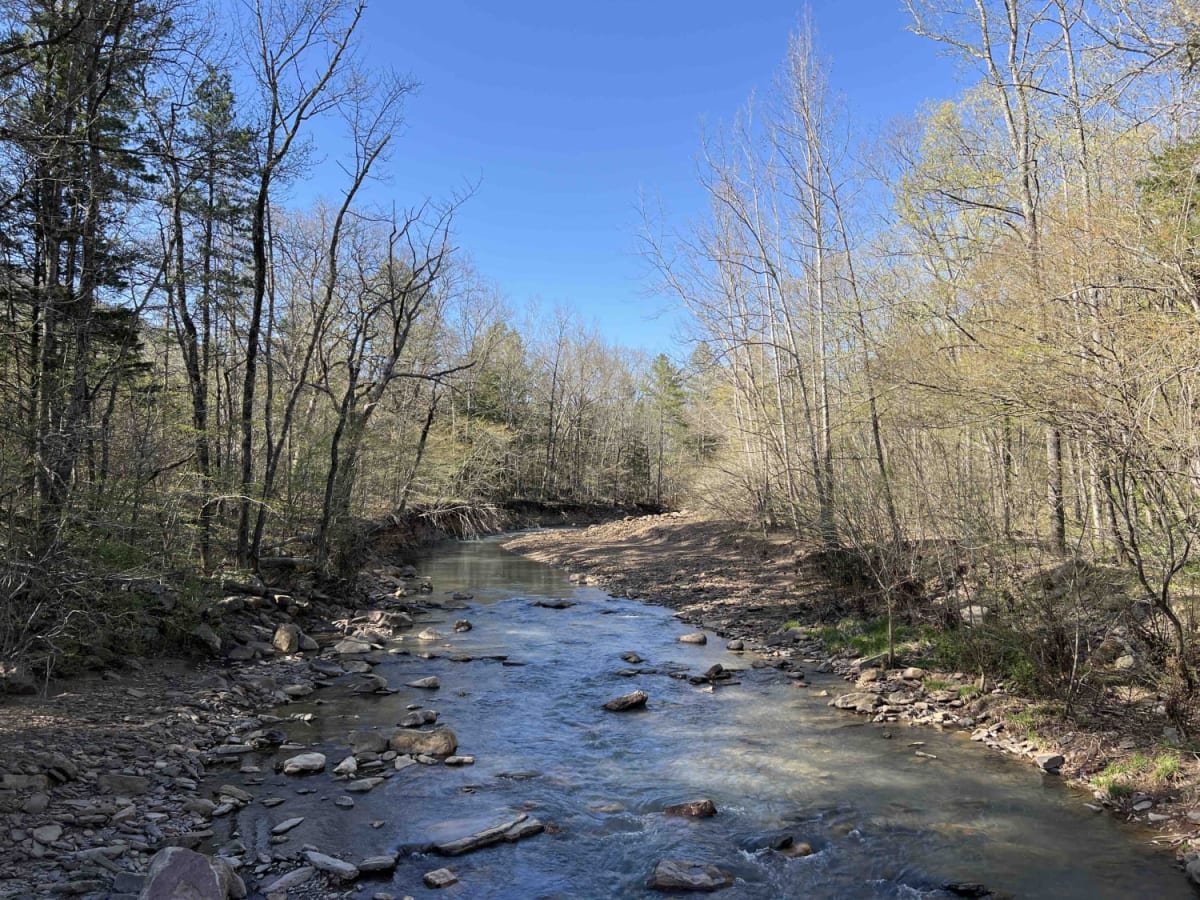 Rd 5560 trail photo