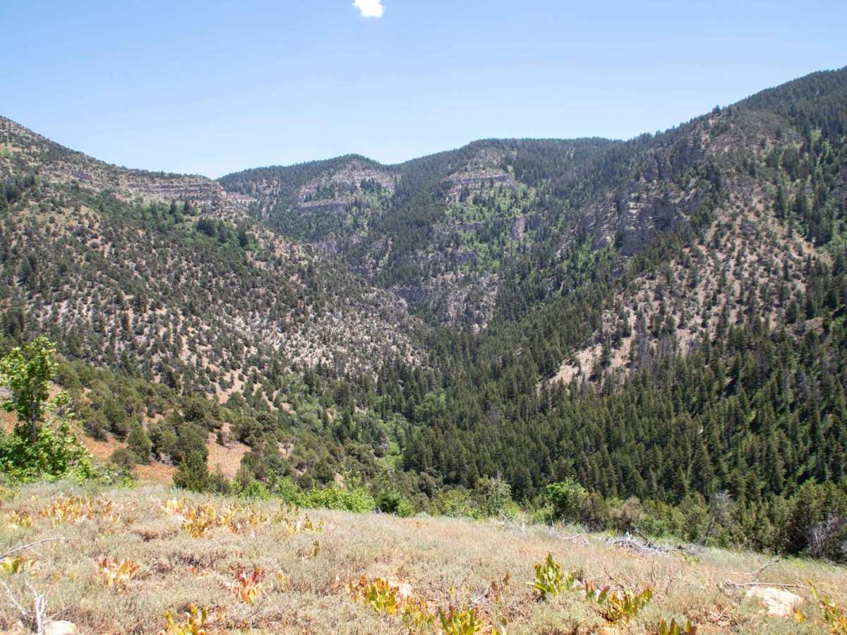 Baxter Sawmill Overlook photo 2