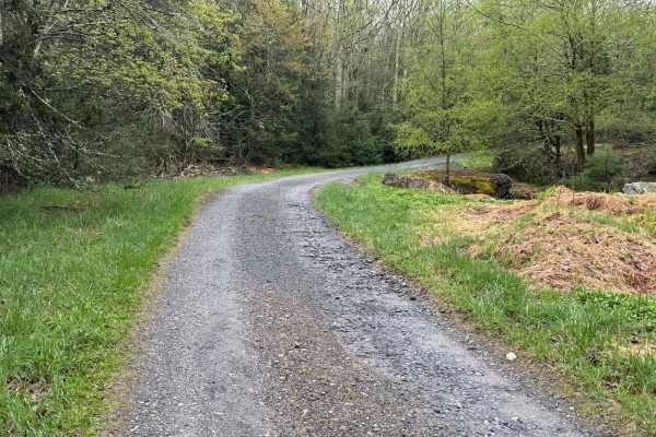 Wolf Brook Trail