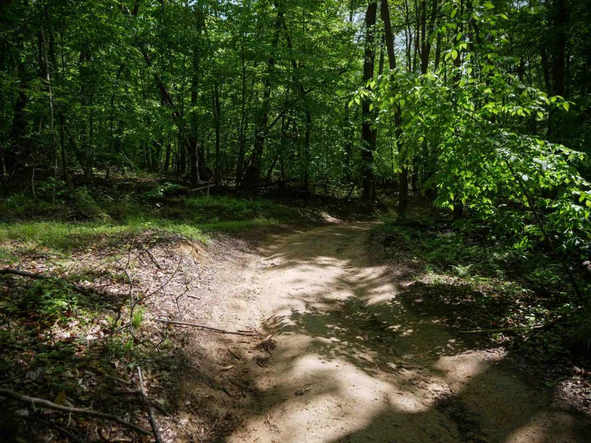 Trail 4 photo 6