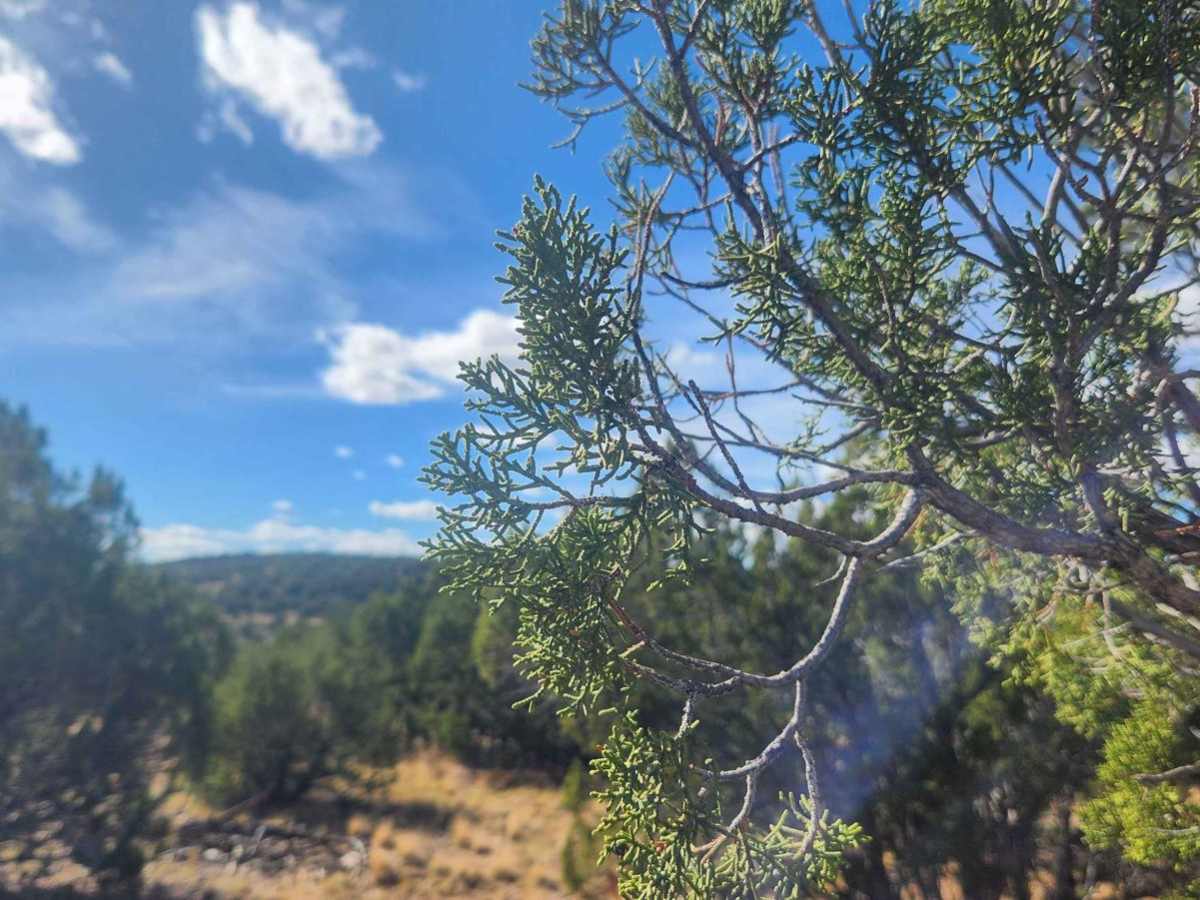Bull Ranch Draw trail photo