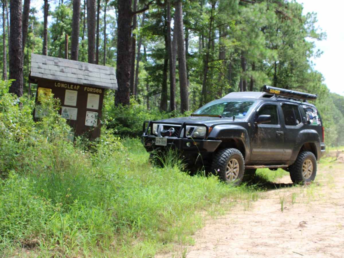 FSR 568 Hunters Camps trail photo