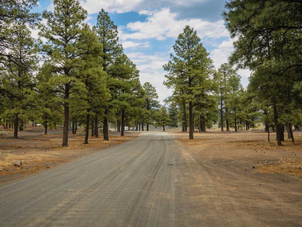 Cinder Hills OHV Area / 776 photo 5