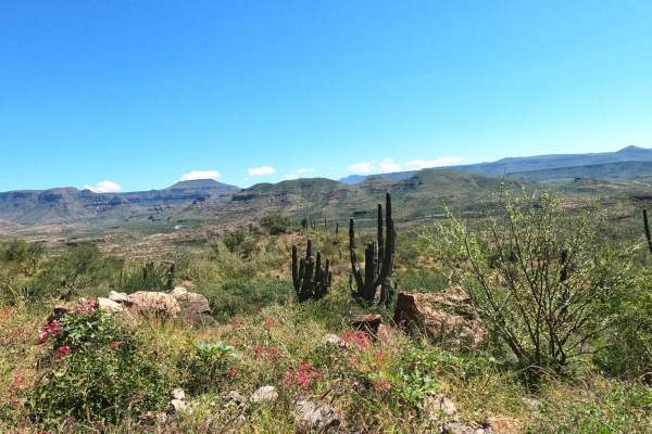 San Jose Comundu to La Purisima