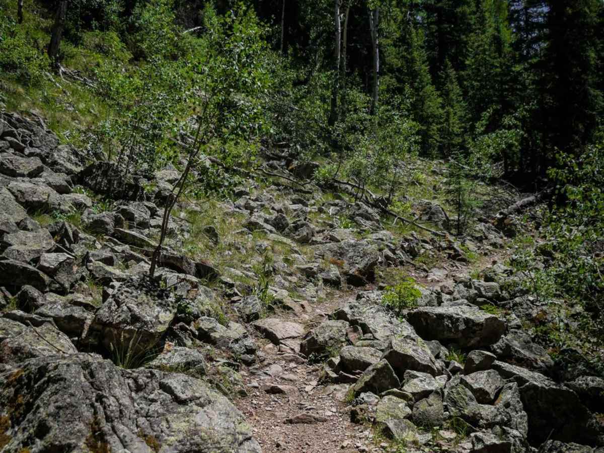East Fork Trail photo 4