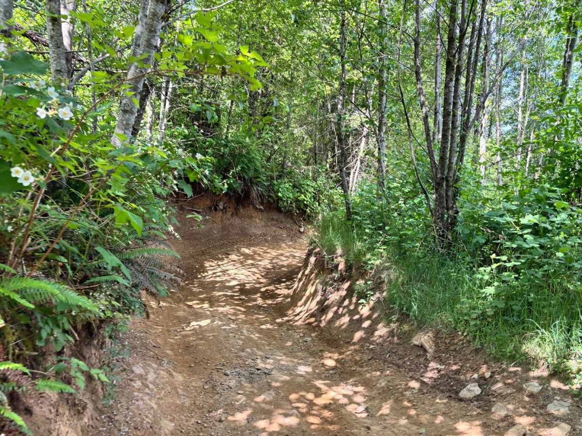 EZ Valley Connector photo 4