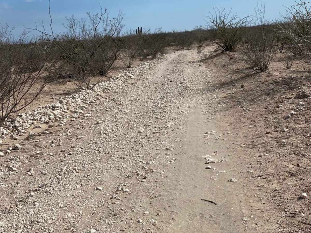 Puerto Chale Cutoff photo 3