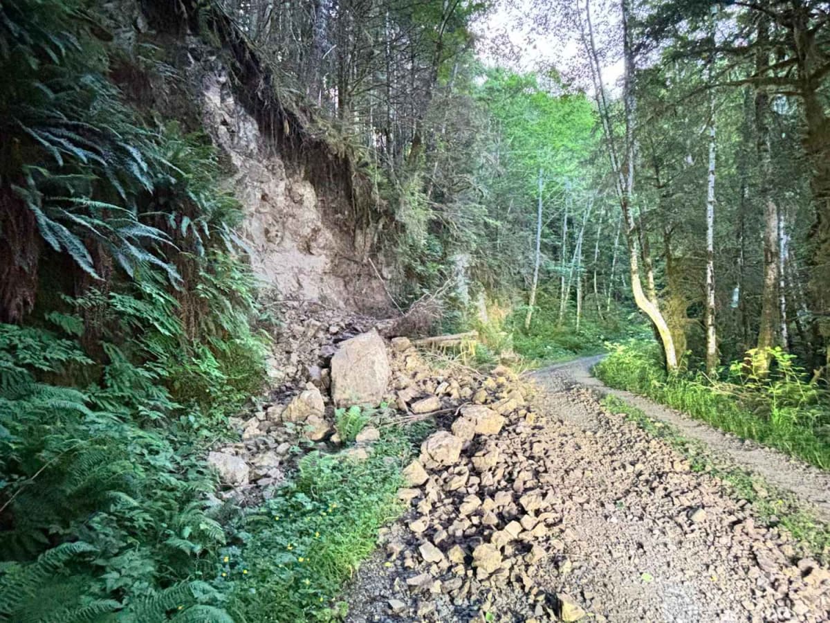 Shiffman Road photo 6
