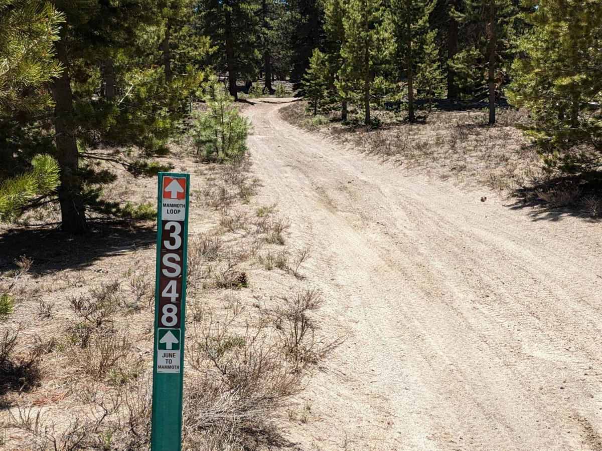 Manzanita Slope Loop trail photo