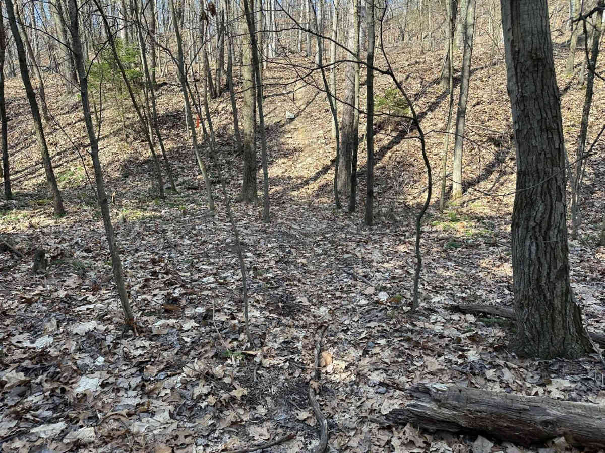 St. Keirns Single Track 2 photo 2