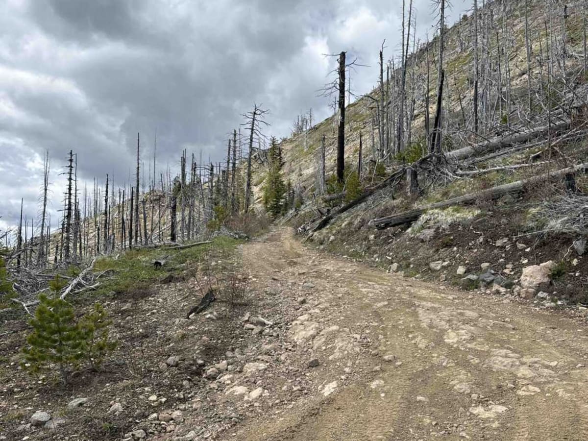 Terrace Mountain Road photo 3