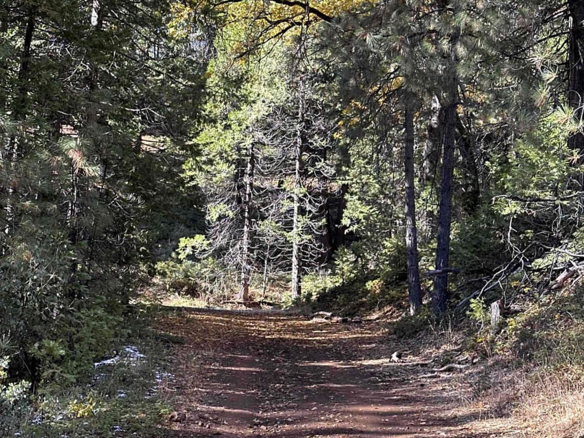 Five Corners trail photo