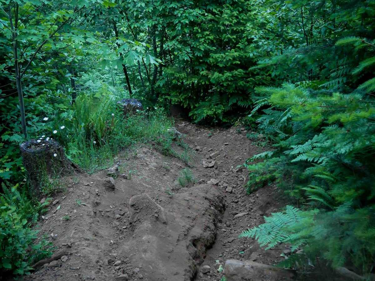 Fern Gully #49 photo 6