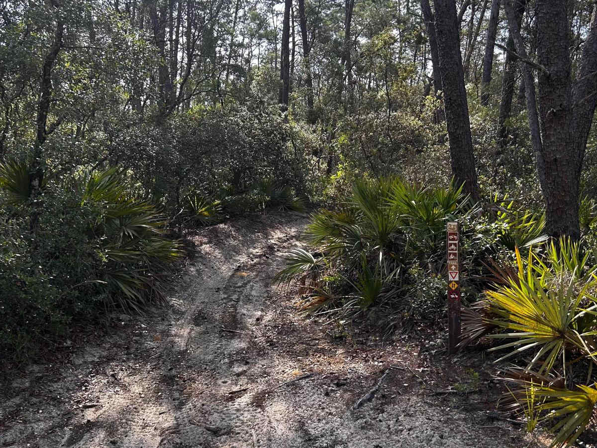 FS-221 trail photo
