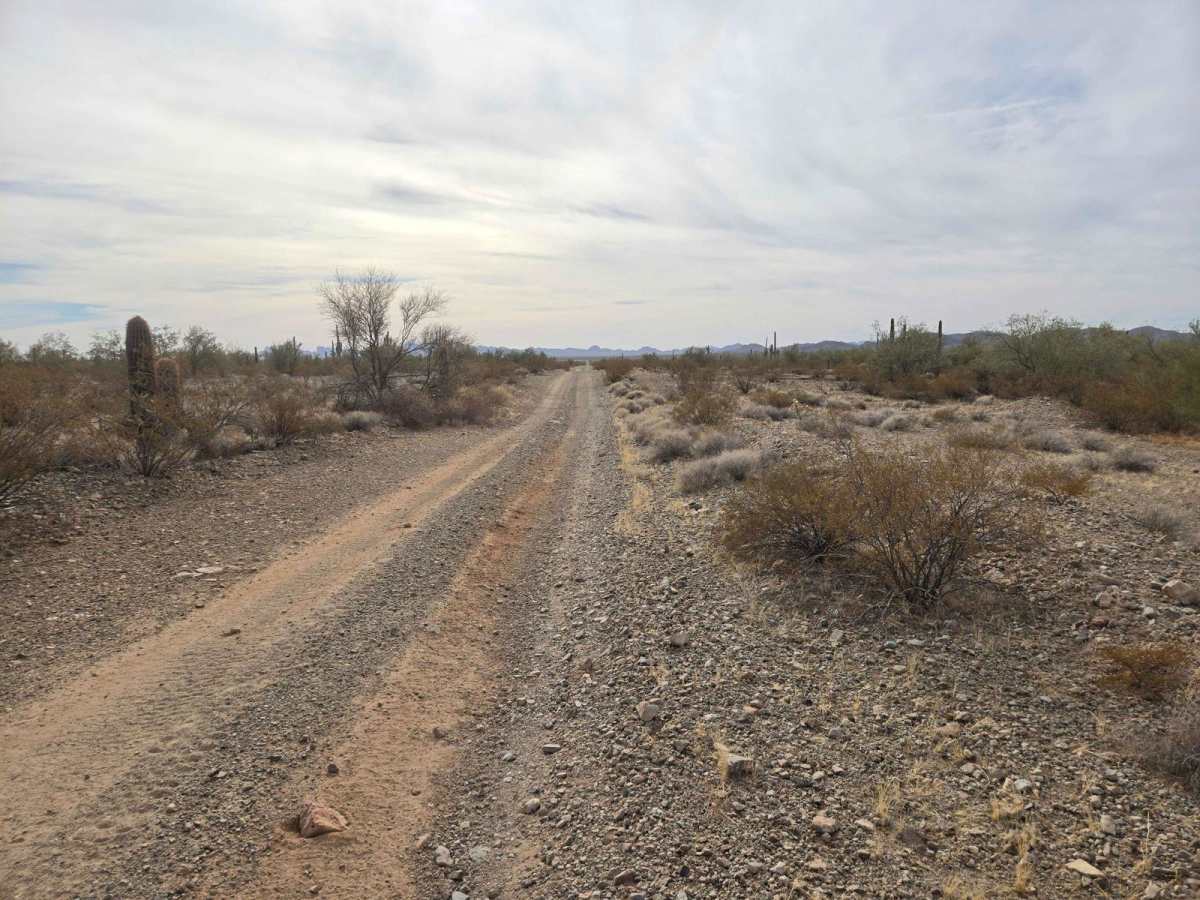Pipeline to I-10 photo 2