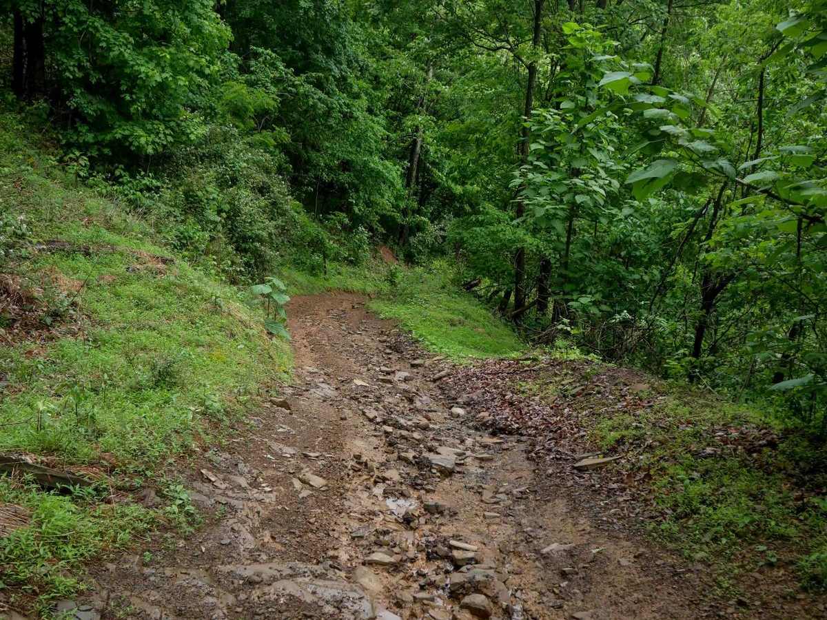 CC20 photo 5