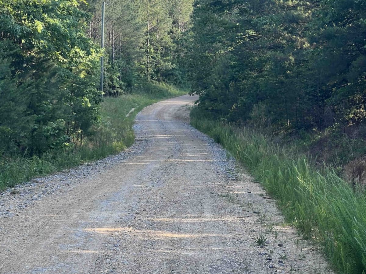 Meadow Creek Road photo 2