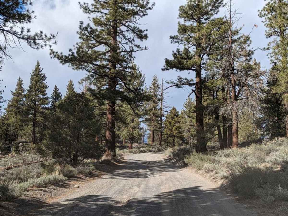 Antelope Springs Road West photo 3