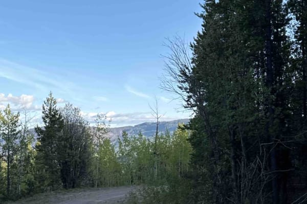 Lean To Forest Service Road