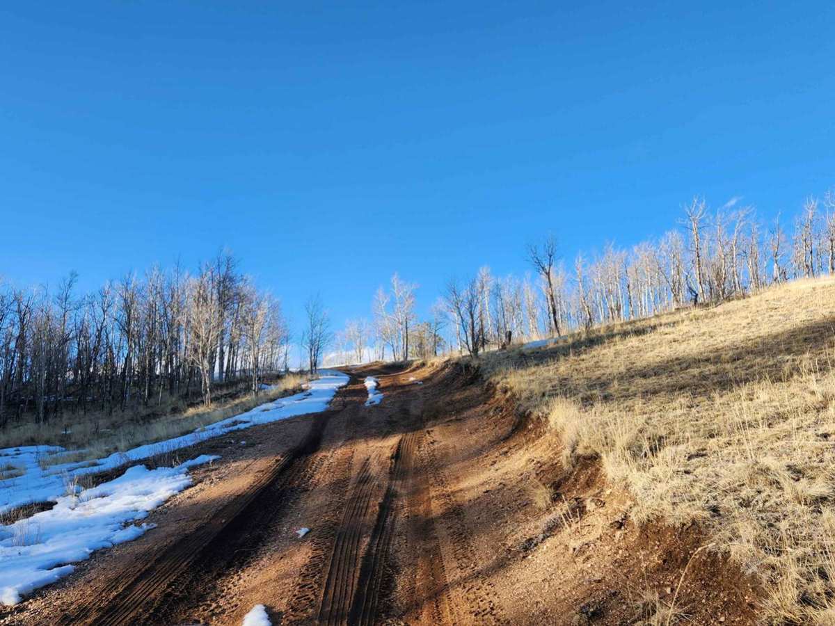 East Branch Road photo 5