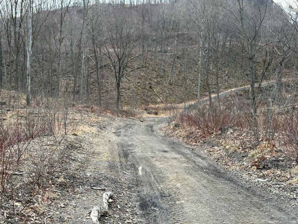 Ashland 63 photo 2