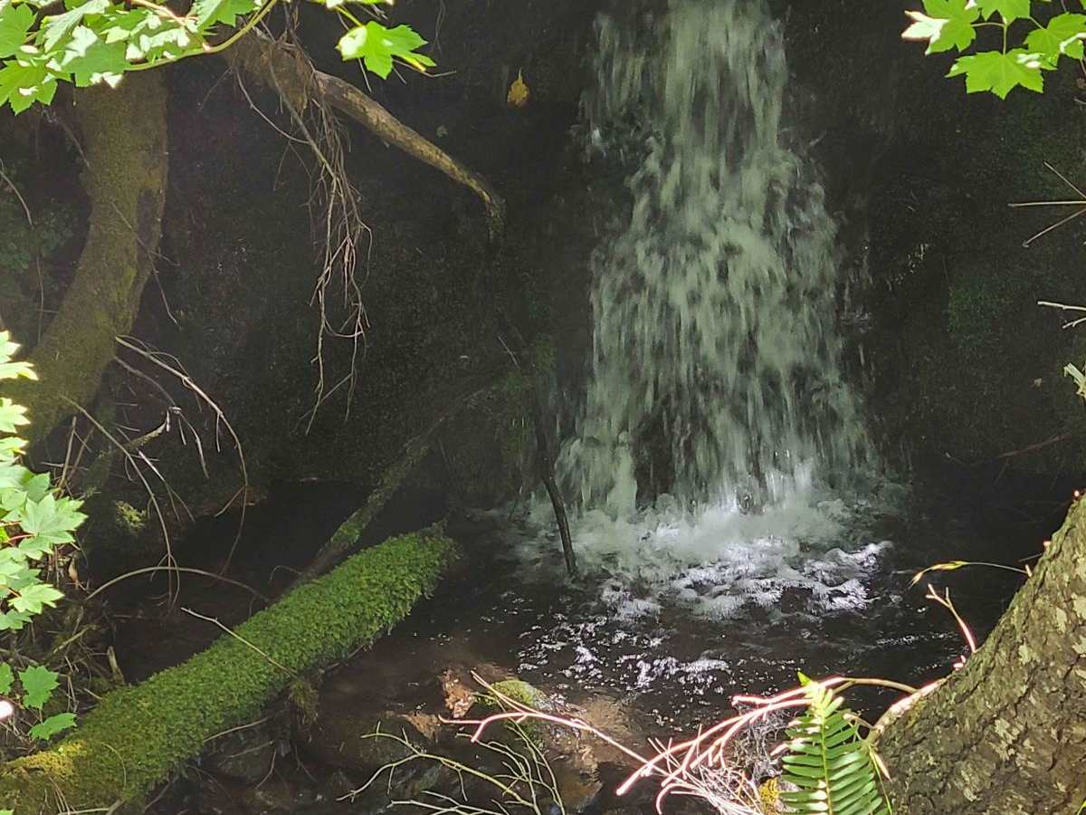 Hills Creek photo 3