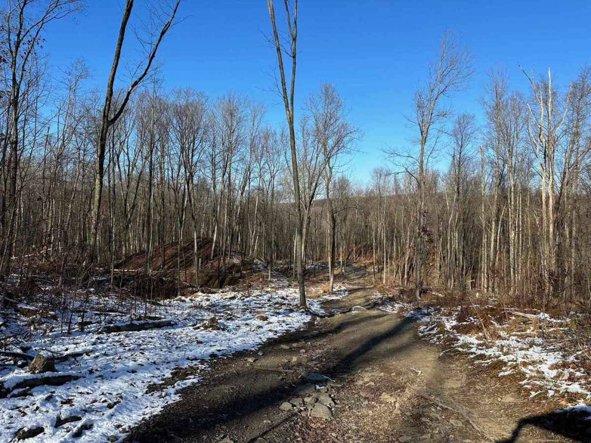 Locust Gap 73 photo 5