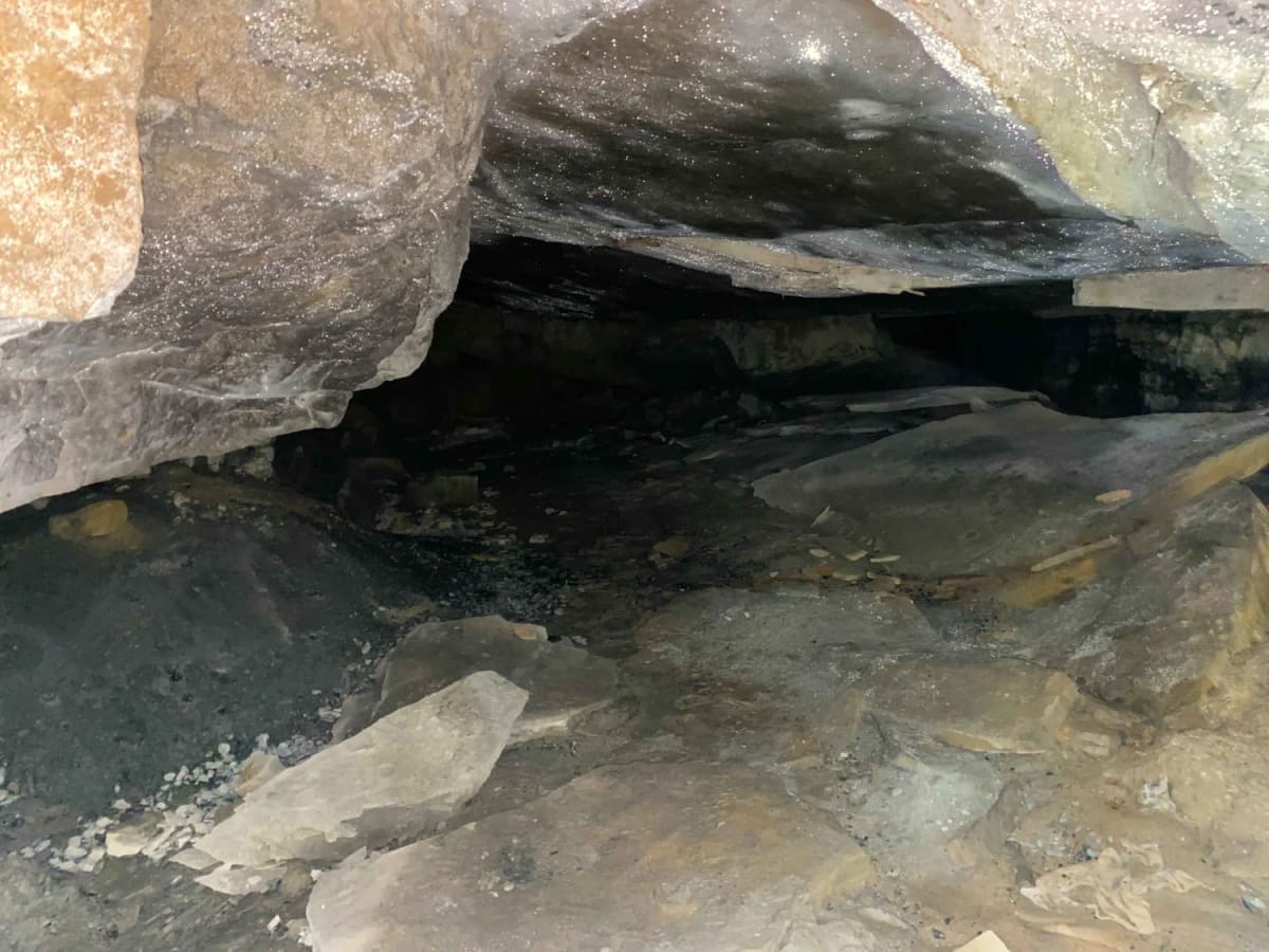 Cinderella Mine Trail photo 4