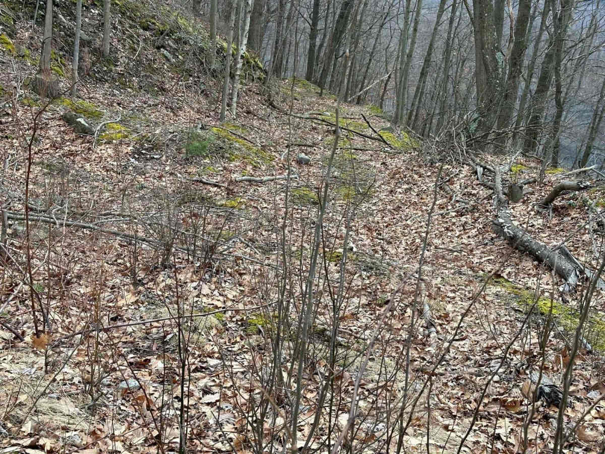 Ashland 66 photo 3