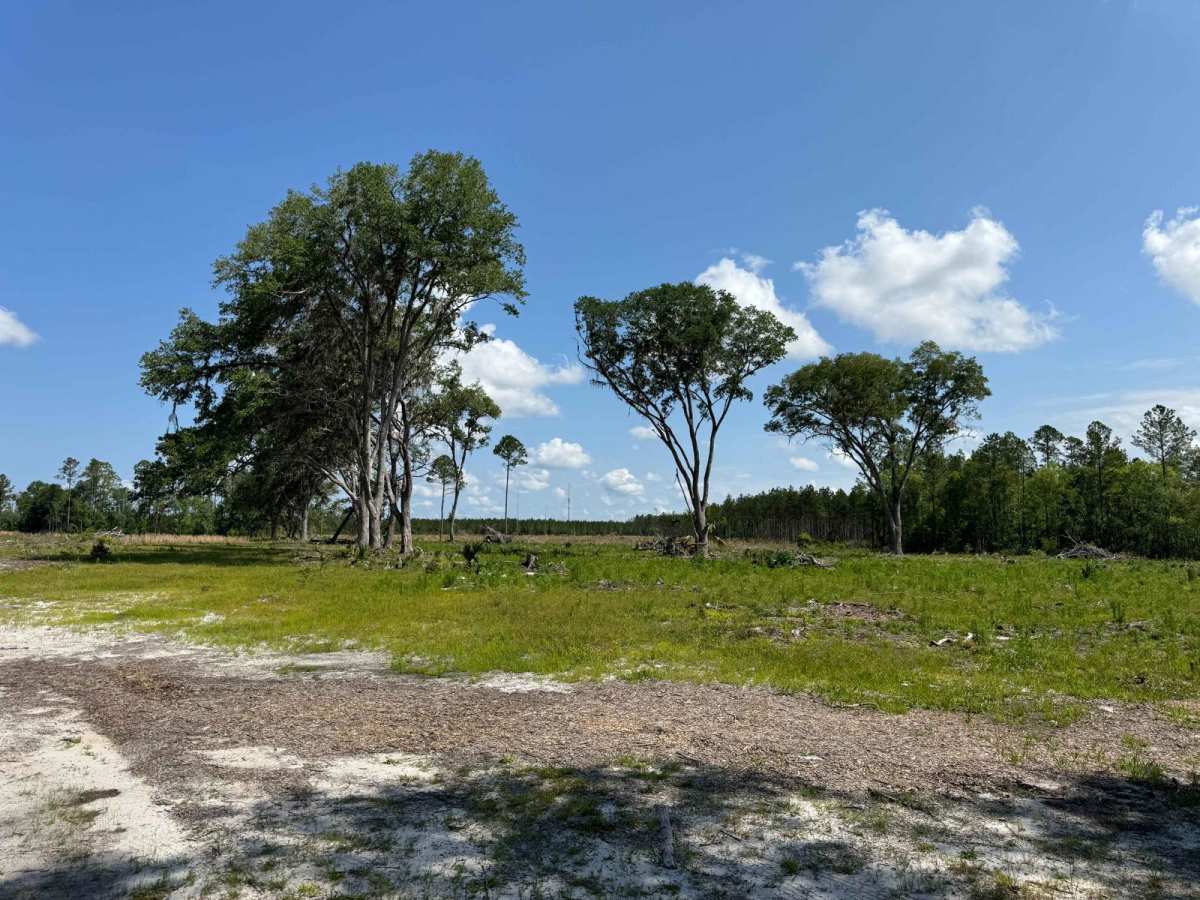 St. Johns River WMD West photo 6