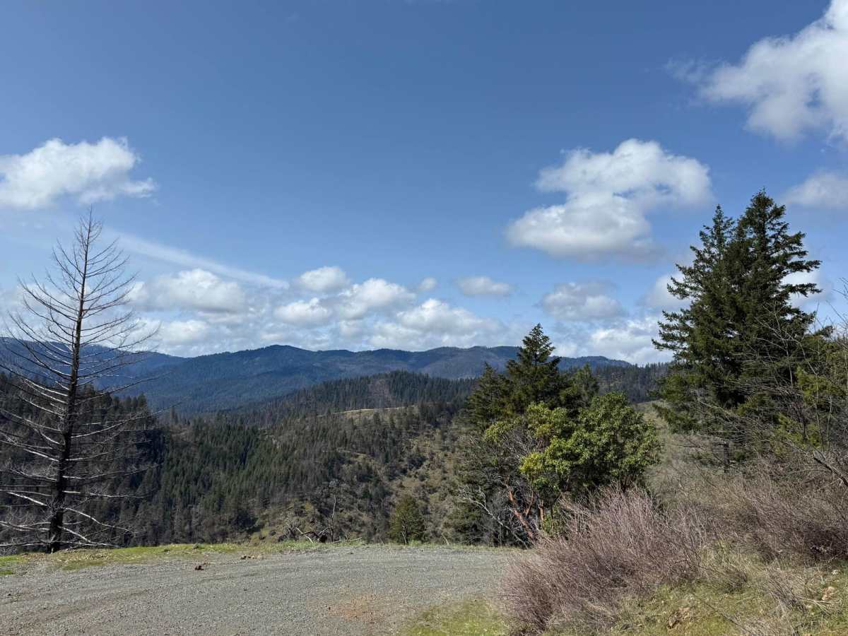 Right Fork Hellgate Recreation Site photo 4