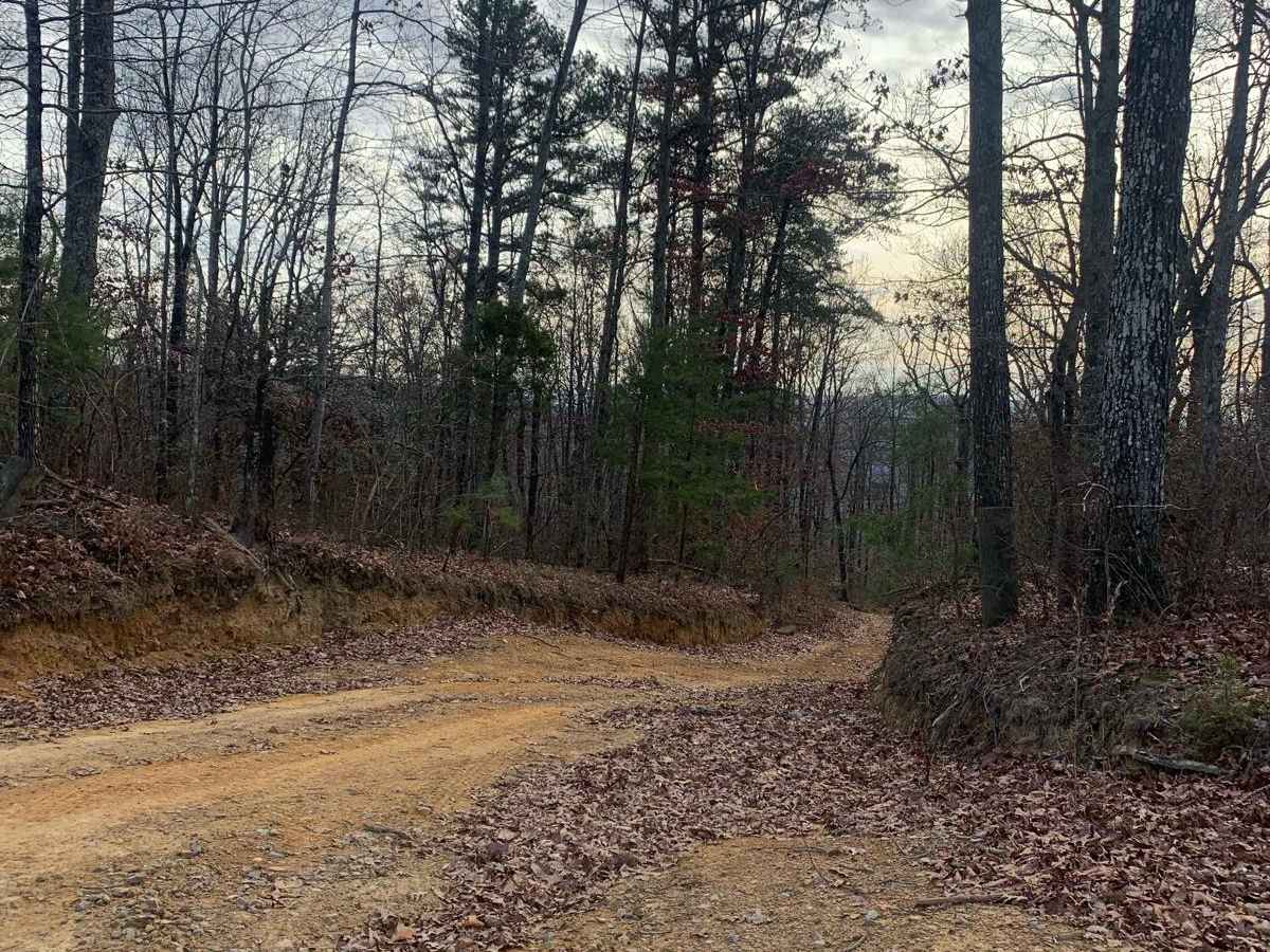 Dry Branch Road photo 5