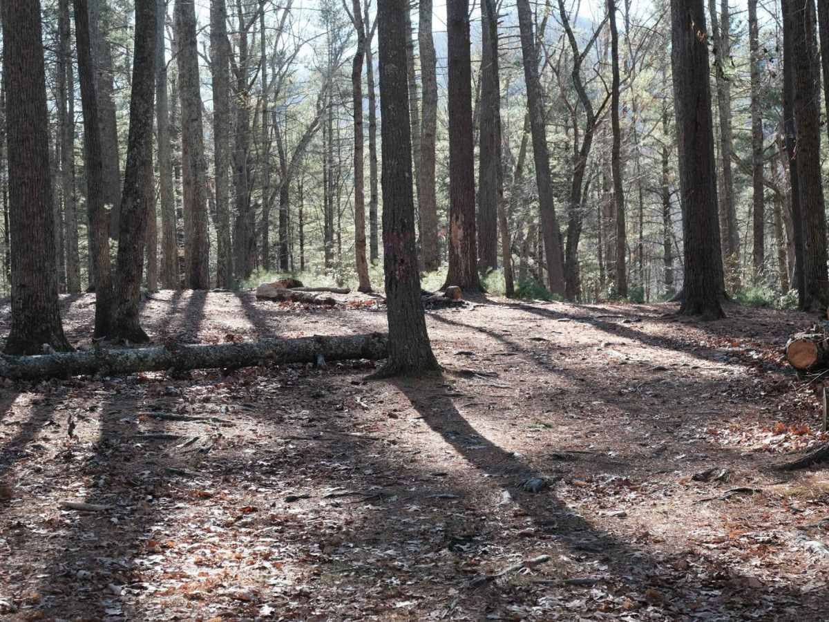 Shady Mountain Road photo 4
