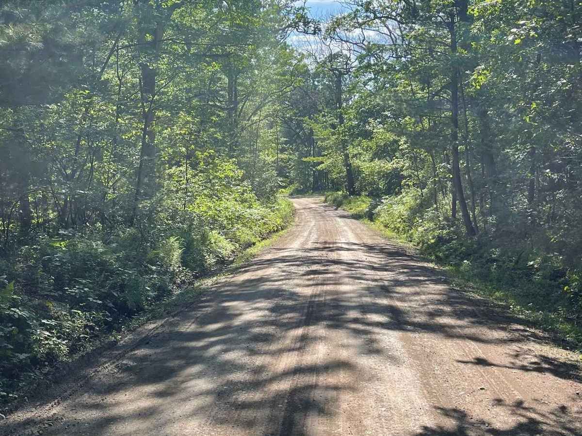 Sand Spring Road photo 5