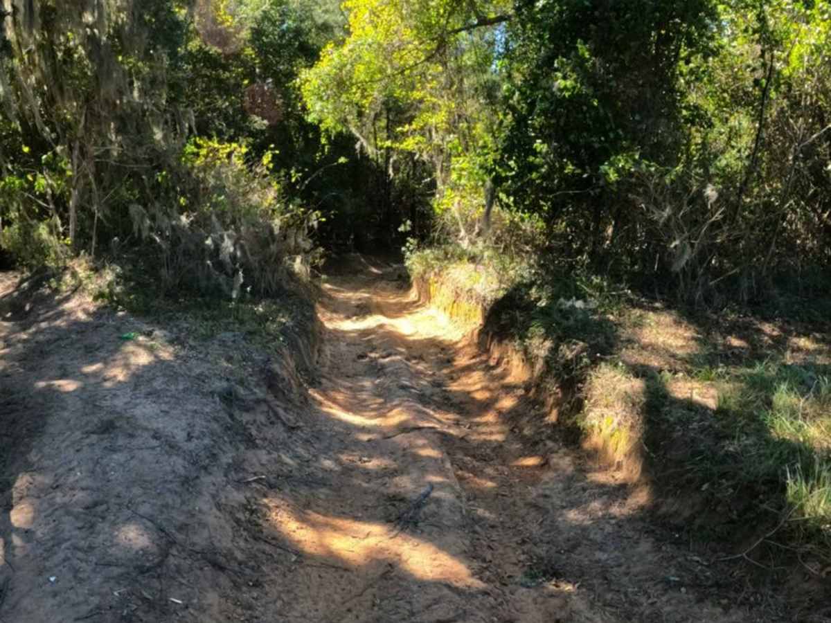 Tranquility Trail photo 2
