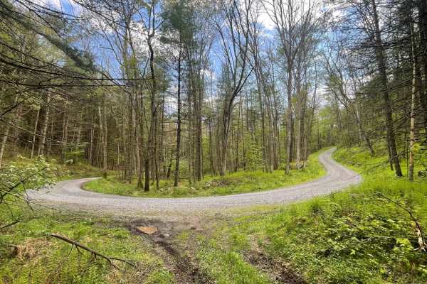 Oak Ridge Road