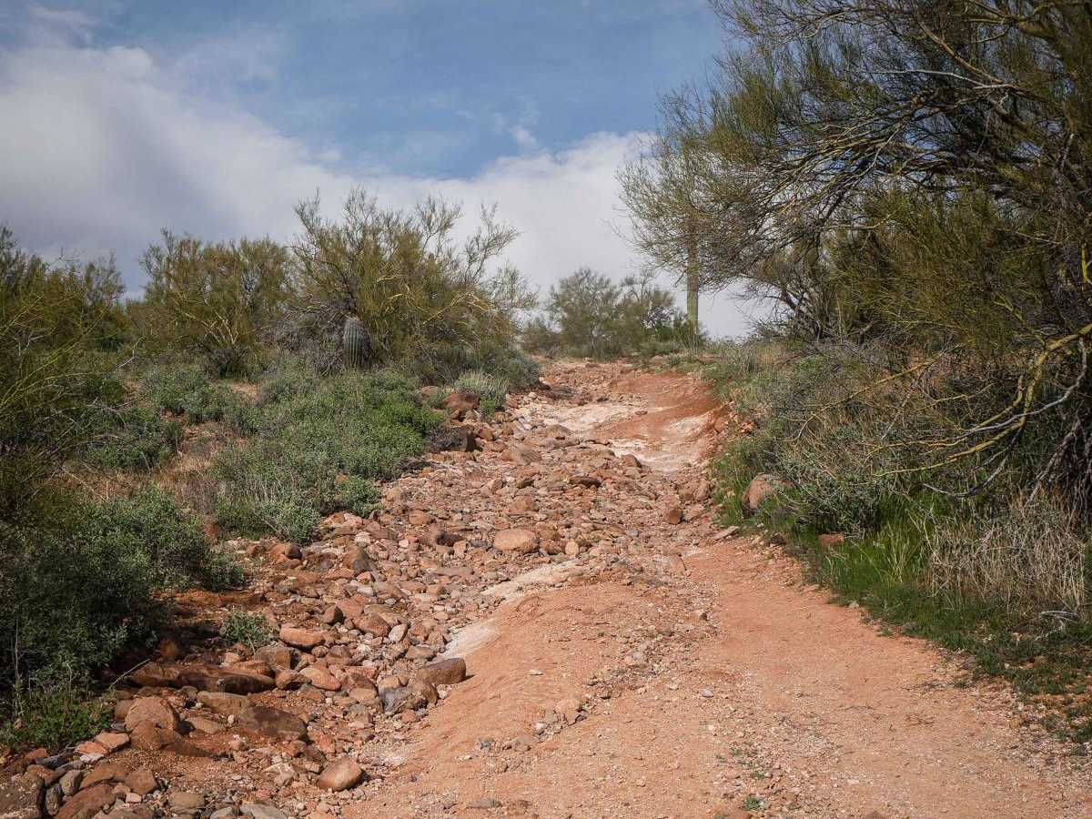 Shoemaker Spring Access Trail photo 6