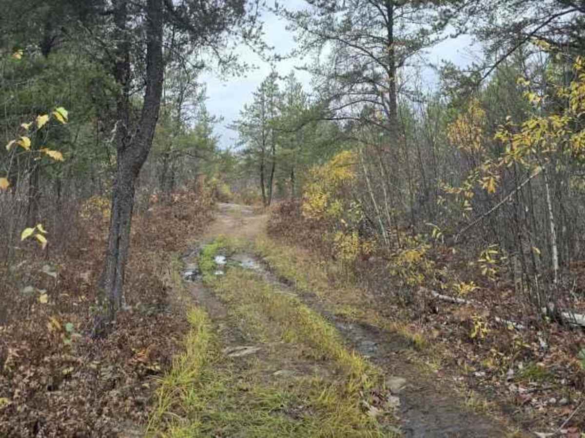 Twelve-Hundred Trail (SNF) photo 6