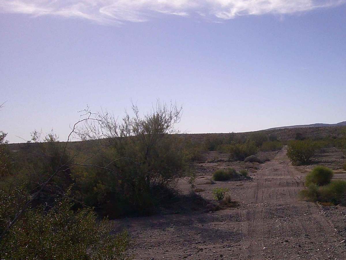 Road 8230 photo 2