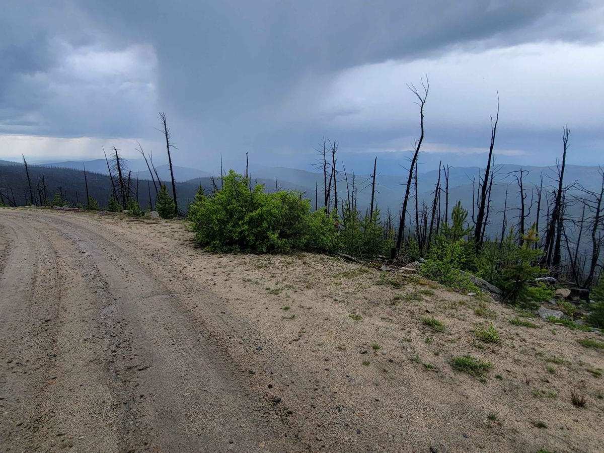 NF 4235 - Starvation Mountain photo 6
