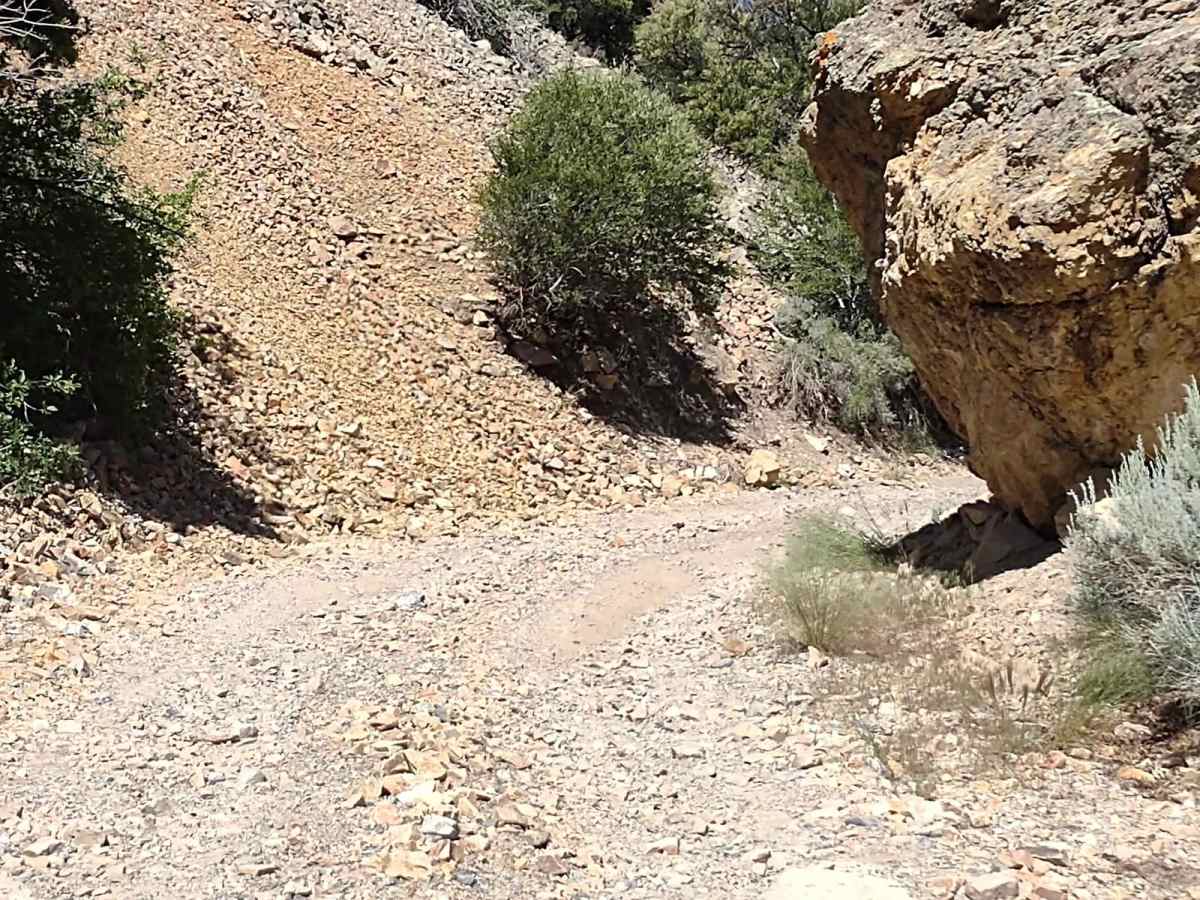 Gold Gulch to Little Pork Lake (FS# 40136) photo 6
